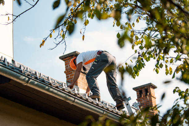 Roof Gutter Cleaning in Leakesville, MS