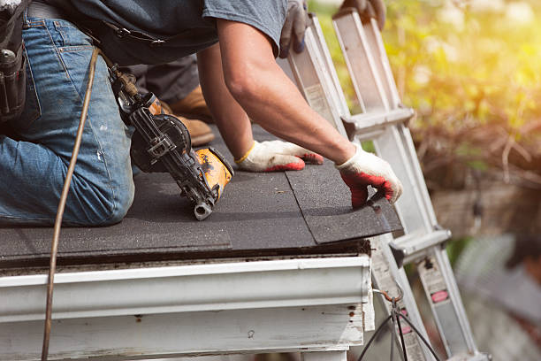 Best Metal Roofing Contractor  in Leakesville, MS
