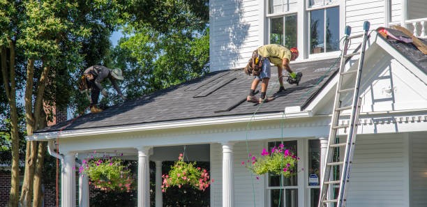 Best Shingle Roofing Installation  in Leakesville, MS